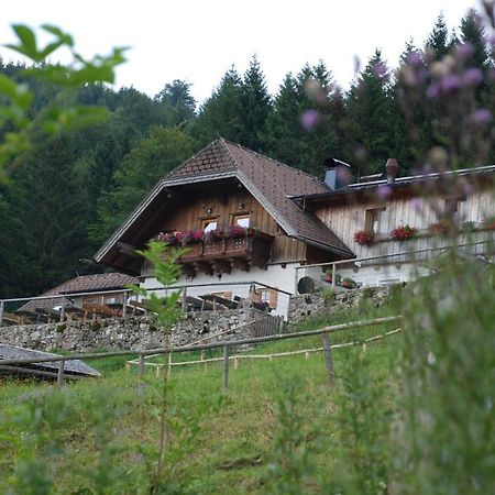 Ferienwohnung Hochsteinalm Traunkirchen Luaran gambar