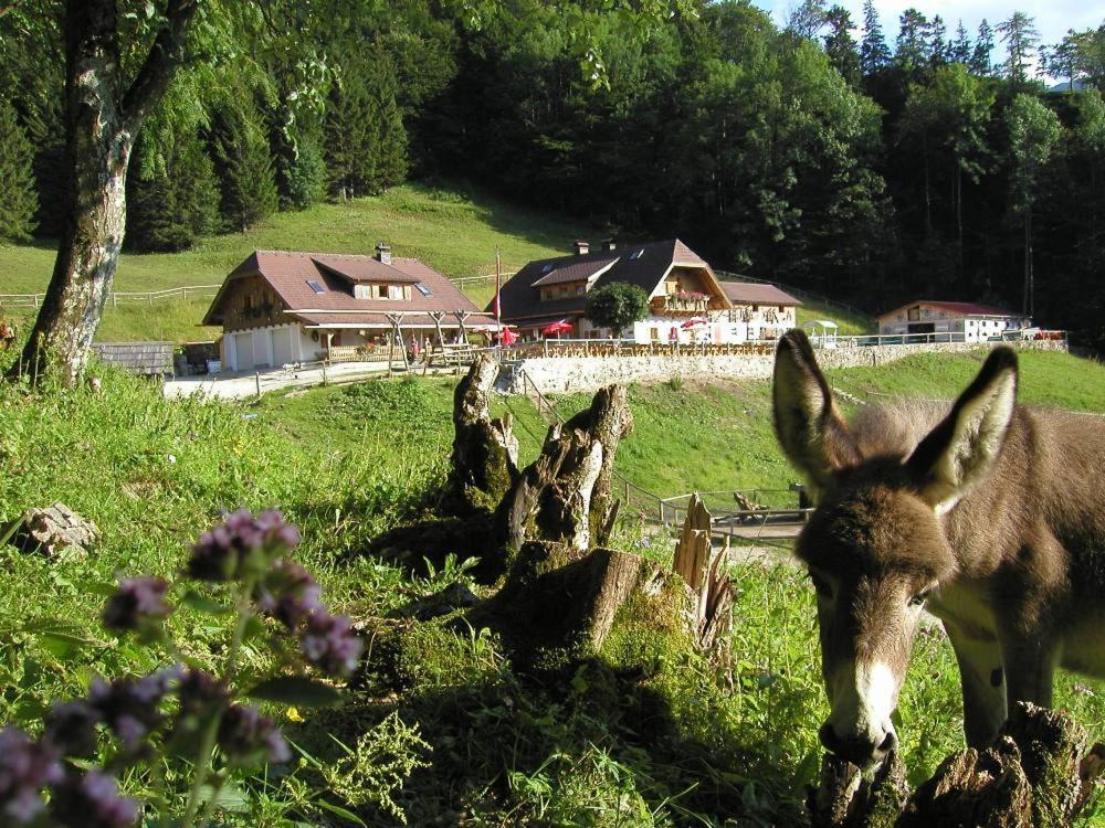 Ferienwohnung Hochsteinalm Traunkirchen Luaran gambar