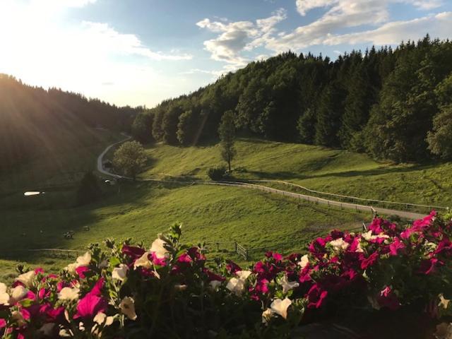 Ferienwohnung Hochsteinalm Traunkirchen Luaran gambar