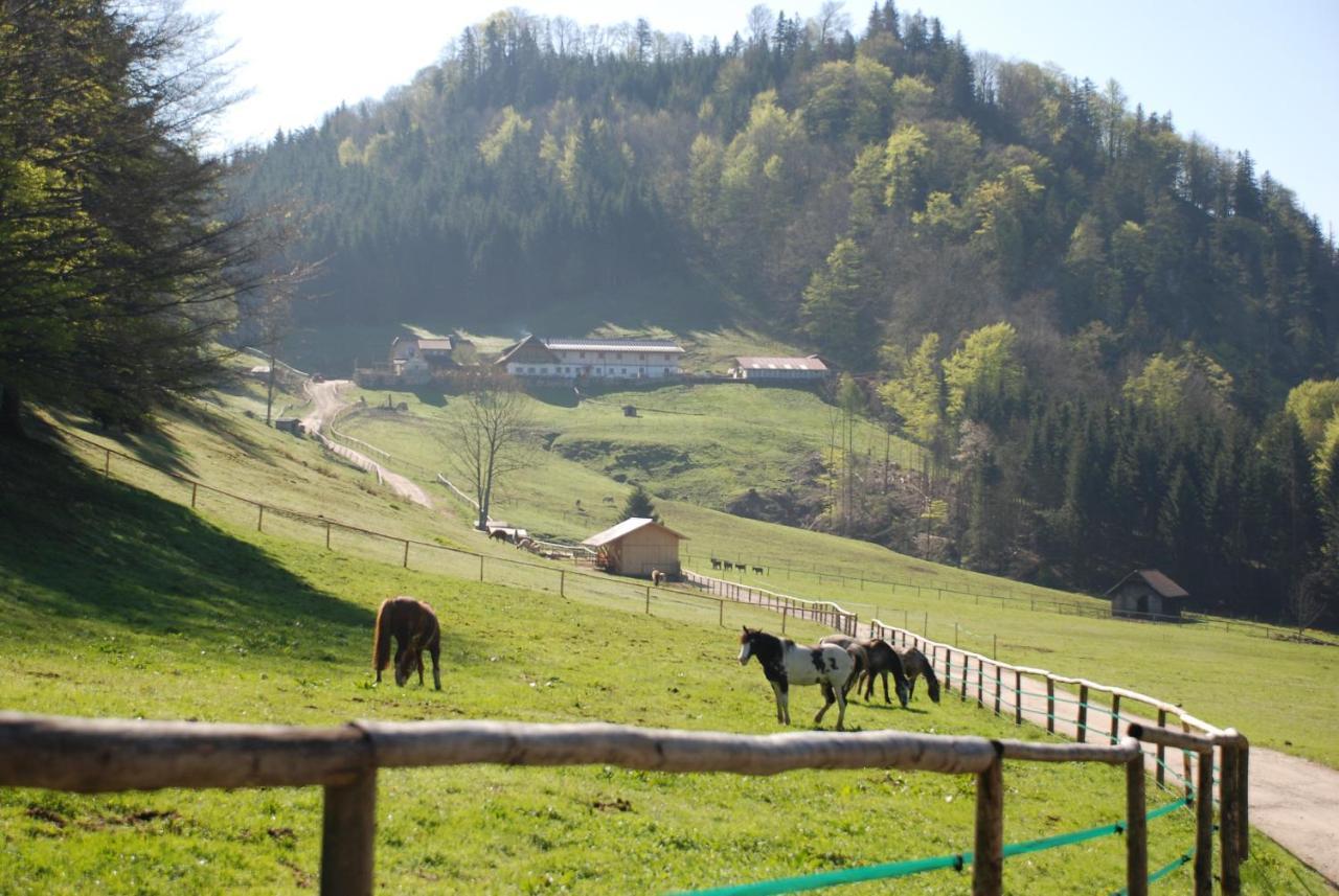 Ferienwohnung Hochsteinalm Traunkirchen Luaran gambar
